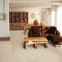 Carpet Gallery - Living Room
